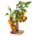 Plant Terrarium Propagation Stations with Wooden Stand, Glass Vase for Indoor Hydroponics Home Garden Office Decoration Gift for Women - 4 Love Bulb Vase