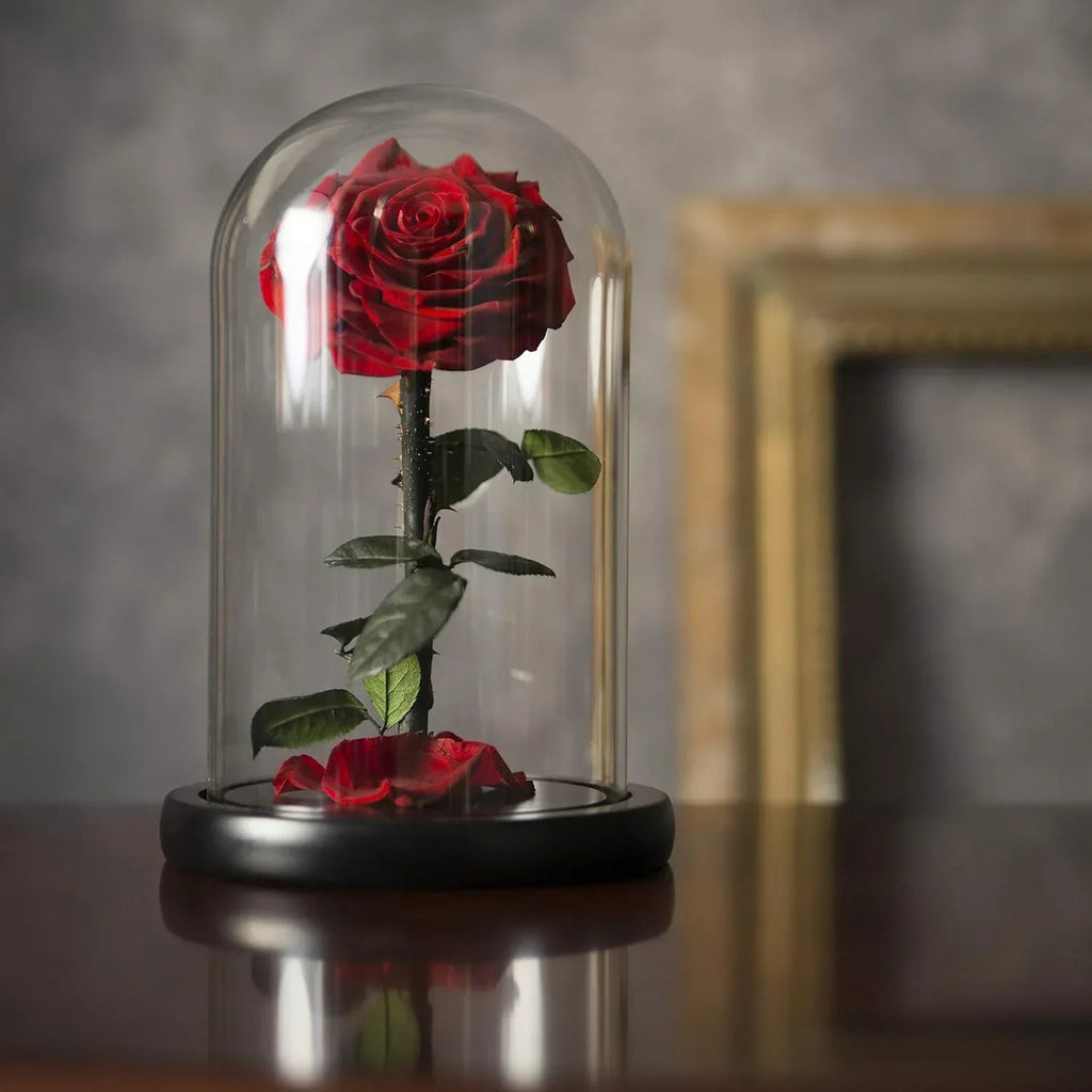 Forever Preserved Rose - Eternal Rose in Glass Dome - Beauty and the Beast Rose - Mothers Day Gifts For Mom - Fresh Flowers in Glass (Red, 9 Inch) - Unique Gift Market