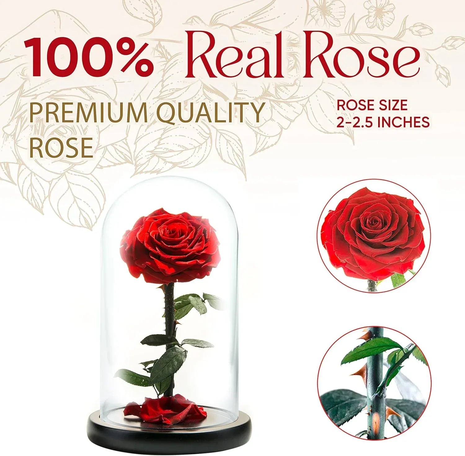 Forever Preserved Rose - Eternal Rose in Glass Dome - Beauty and the Beast Rose - Mothers Day Gifts For Mom - Fresh Flowers in Glass (Red, 9 Inch) - Unique Gift Market
