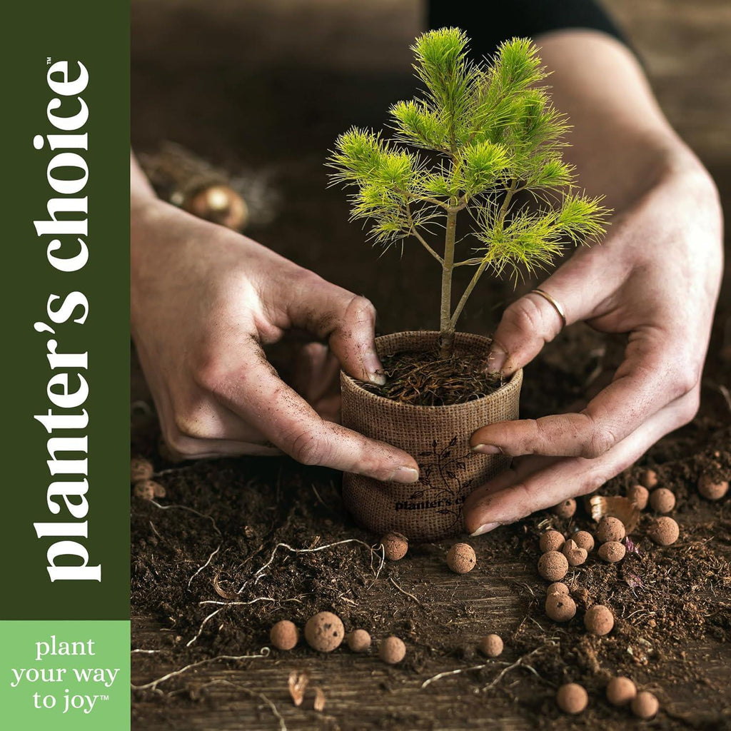 Planter's Choice Bonsai Tree Starter Kit - Unique Gifts for Women, Men - Birthday Gifts for Adults - Indoor Live House Plants - DIY Crafts for Adults Craft Kits - Hobby Gift for Gardening Lovers - Unique Gift Market