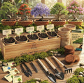 Planter's Choice Bonsai Tree Starter Kit - Unique Gifts for Women, Men - Birthday Gifts for Adults - Indoor Live House Plants - DIY Crafts for Adults Craft Kits - Hobby Gift for Gardening Lovers - Unique Gift Market