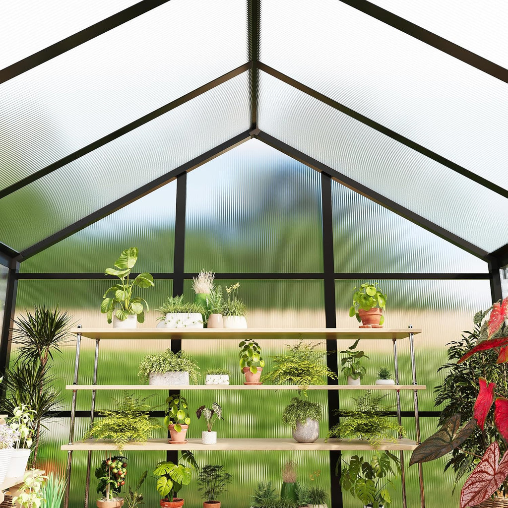 6×10 FT Greenhouse, Large Walk in Greenhouses for Outdoors and Garden Planting, Polycarbonate Greenhouse with Enhanced Aluminum Frame, Green Houses with Quick Setup Structure and Roof Vent, Black