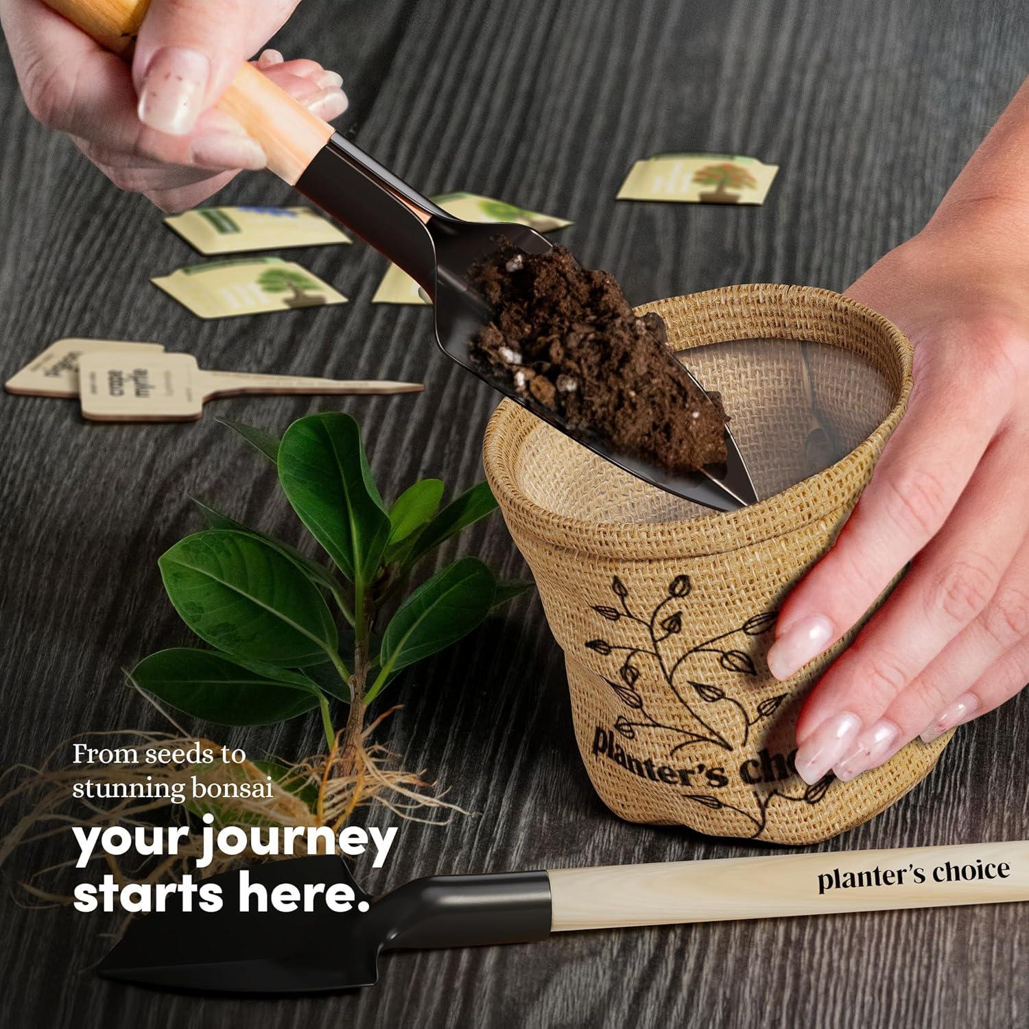 Planter's Choice Bonsai Tree Starter Kit - Unique Gifts for Women, Men - Birthday Gifts for Adults - Indoor Live House Plants - DIY Crafts for Adults Craft Kits - Hobby Gift for Gardening Lovers - Unique Gift Market