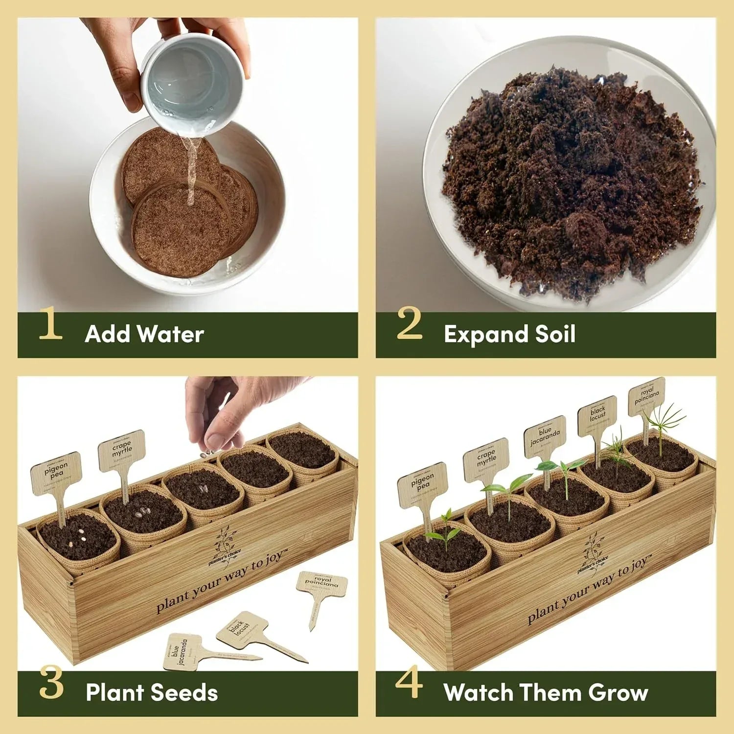 Planter's Choice Bonsai Tree Starter Kit - Unique Gifts for Women, Men - Birthday Gifts for Adults - Indoor Live House Plants - DIY Crafts for Adults Craft Kits - Hobby Gift for Gardening Lovers - Unique Gift Market