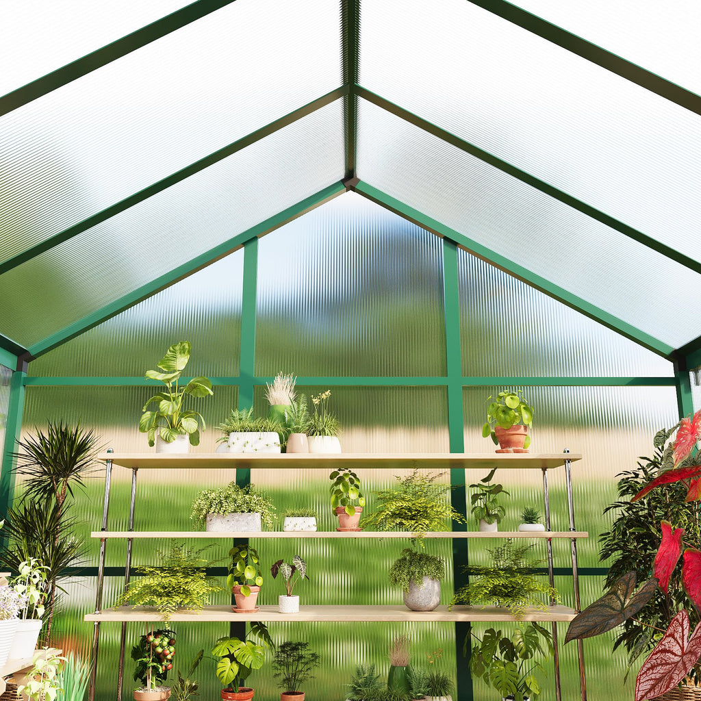 8×10 FT Greenhouse, Large Walk in Greenhouses for Outdoors and Garden Planting, Polycarbonate Greenhouse with Enhanced Aluminum Frame, Green Houses with Quick Setup Structure and Roof Vent, Green