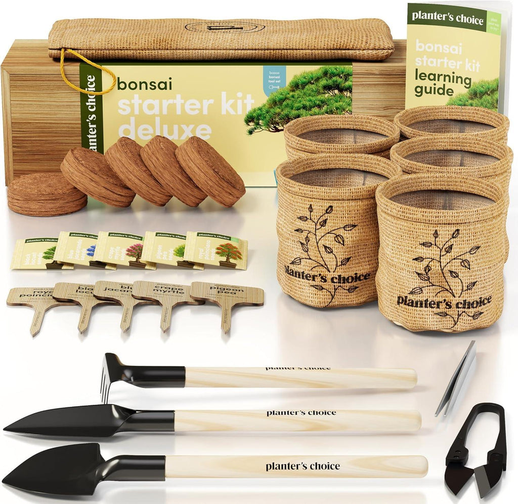 Planter's Choice Bonsai Tree Starter Kit - Unique Gifts for Women, Men - Birthday Gifts for Adults - Indoor Live House Plants - DIY Crafts for Adults Craft Kits - Hobby Gift for Gardening Lovers - Unique Gift Market