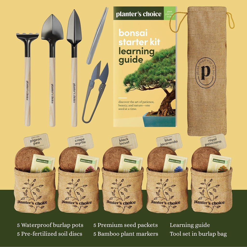 Planter's Choice Bonsai Tree Starter Kit - Unique Gifts for Women, Men - Birthday Gifts for Adults - Indoor Live House Plants - DIY Crafts for Adults Craft Kits - Hobby Gift for Gardening Lovers - Unique Gift Market