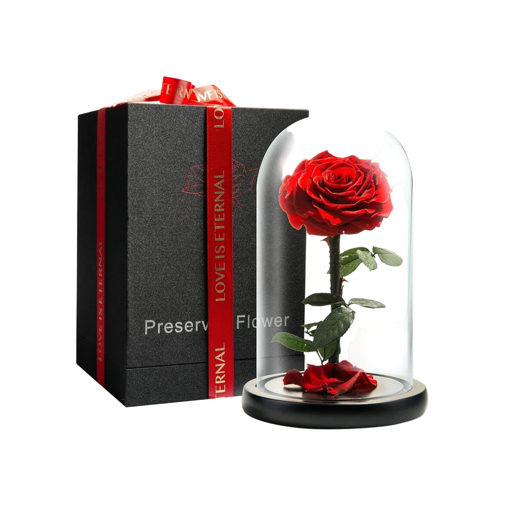 Forever Preserved Rose - Eternal Rose in Glass Dome - Beauty and the Beast Rose - Mothers Day Gifts For Mom - Fresh Flowers in Glass (Red, 9 Inch) - Unique Gift Market