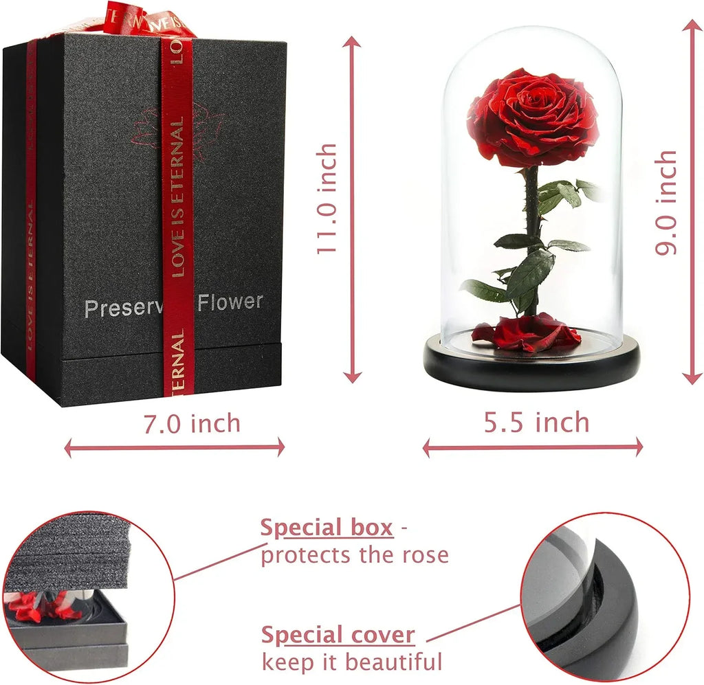 Forever Preserved Rose - Eternal Rose in Glass Dome - Beauty and the Beast Rose - Mothers Day Gifts For Mom - Fresh Flowers in Glass (Red, 9 Inch) - Unique Gift Market