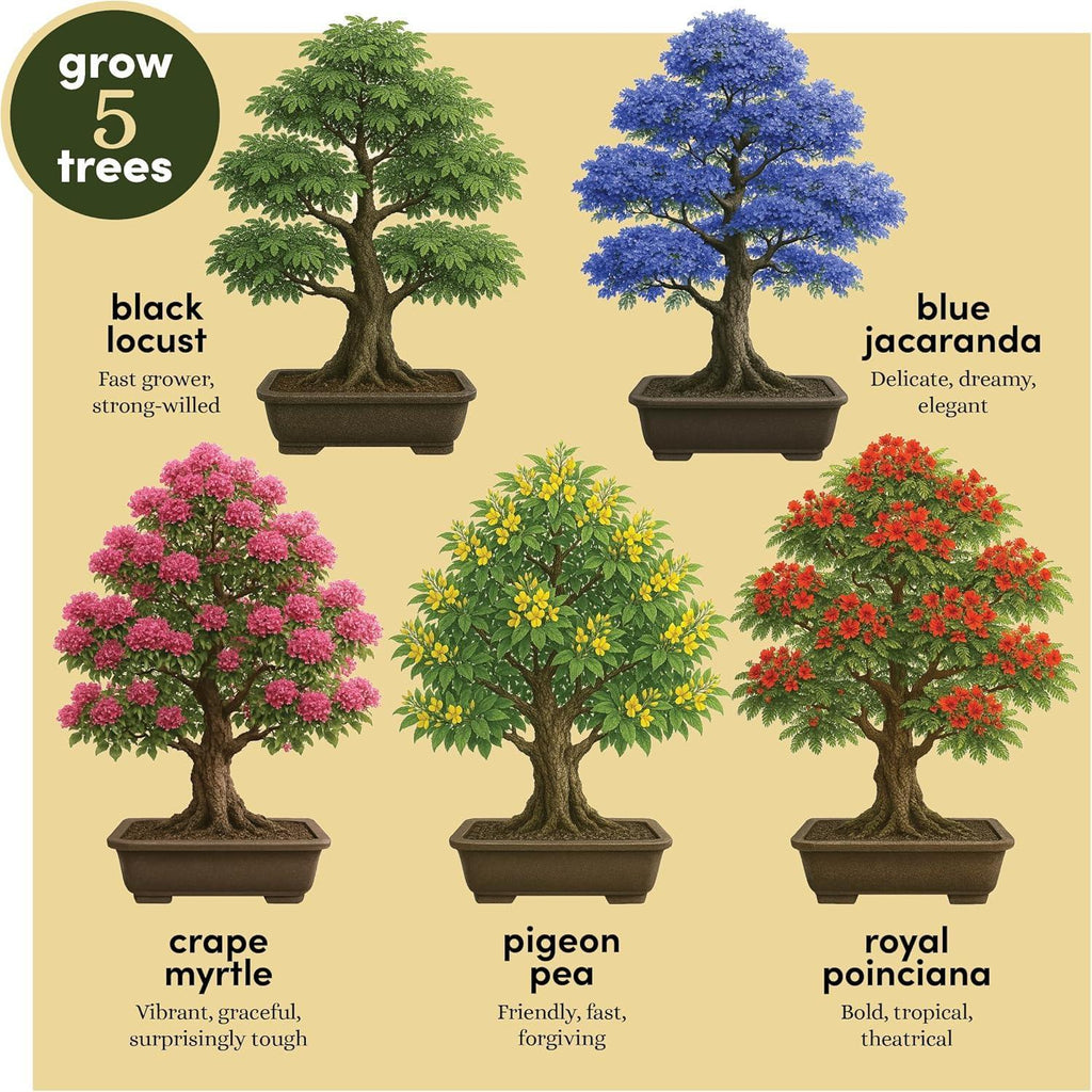 Planter's Choice Bonsai Tree Starter Kit - Unique Gifts for Women, Men - Birthday Gifts for Adults - Indoor Live House Plants - DIY Crafts for Adults Craft Kits - Hobby Gift for Gardening Lovers - Unique Gift Market