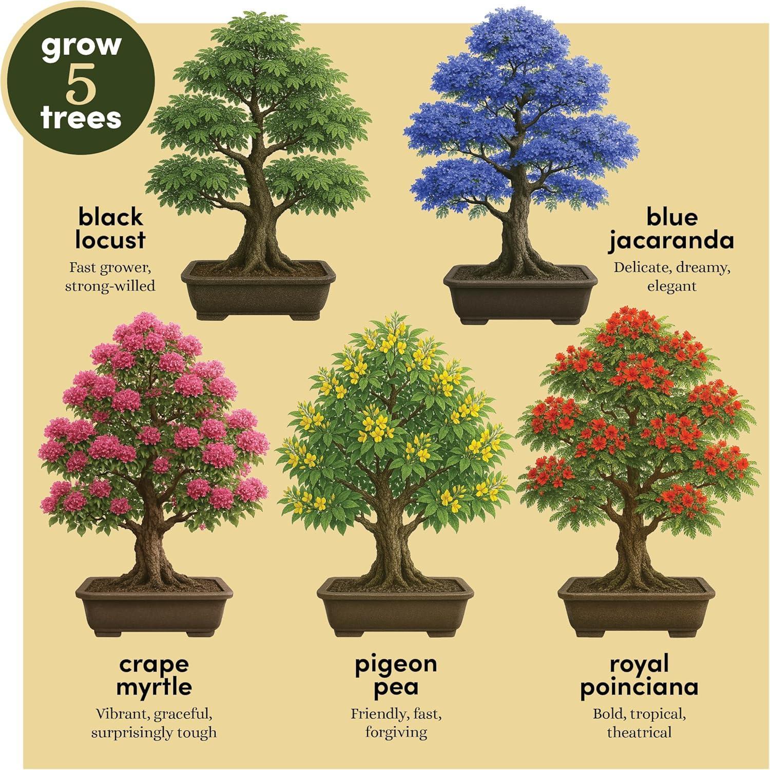 Planter's Choice Bonsai Tree Starter Kit - Unique Gifts for Women, Men - Birthday Gifts for Adults - Indoor Live House Plants - DIY Crafts for Adults Craft Kits - Hobby Gift for Gardening Lovers - Unique Gift Market